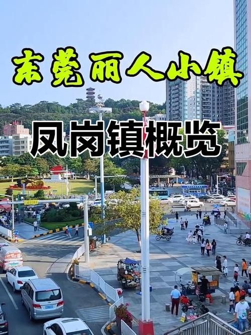 广东东莞凤岗镇最新疫情/广东东莞凤岗镇各村