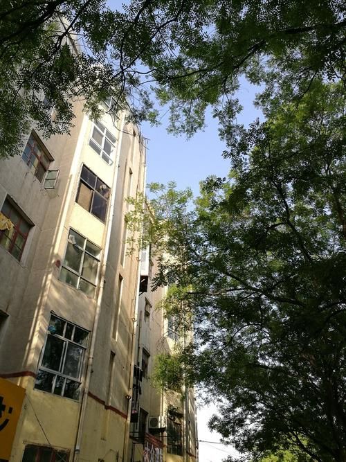 河南省安阳市龙安区今冬最新消息疫情_河南省安阳市龙安区常驻人口多少