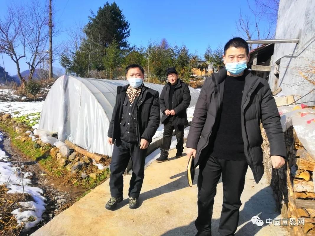  最新疫情情况通报宣恩县:宣恩县今天现状