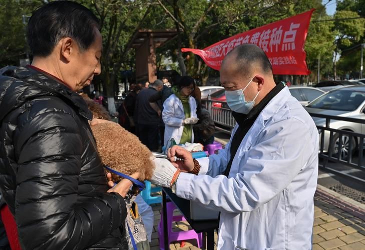 宜阳县疫情防控中风险地区/宜阳县狂犬疫苗接种点