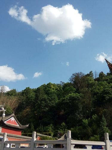 云南玉溪通海县疫情最新消息(云南玉溪通海县有哪些少数民族)