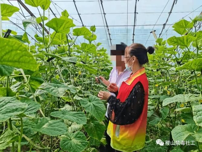 稷山县累计报告重症27例_稷山县最新征地消息