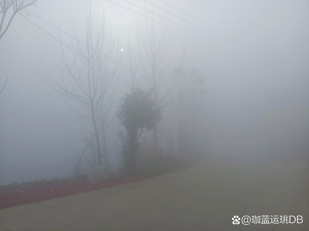 庐江县疫情还在新增吗今天/庐江县最近会有大雾天气吗