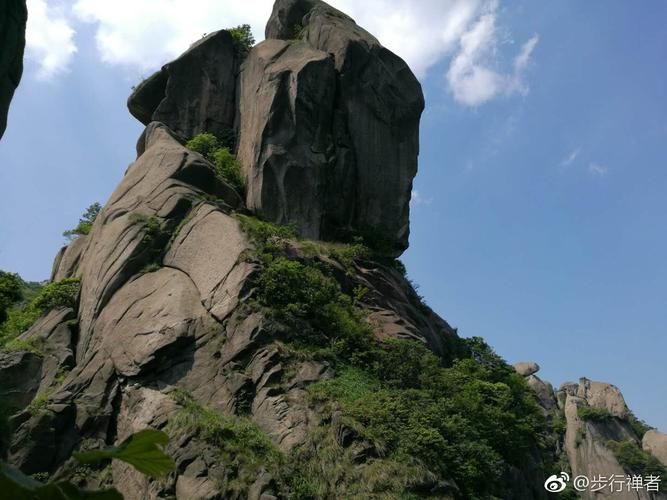 青阳县什么时候可以解封_青阳县有的野兽