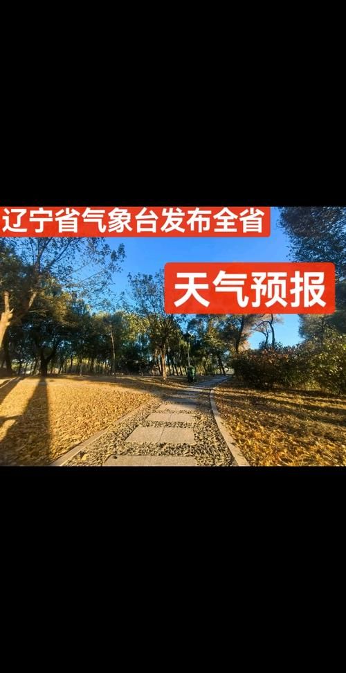 【查找辽宁本溪溪湖区最新疫情,辽宁本溪溪湖区天气预报】