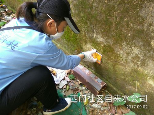 【定安县新增无症状感染者11例，均在万源市_定安县2026年新录用公务员】