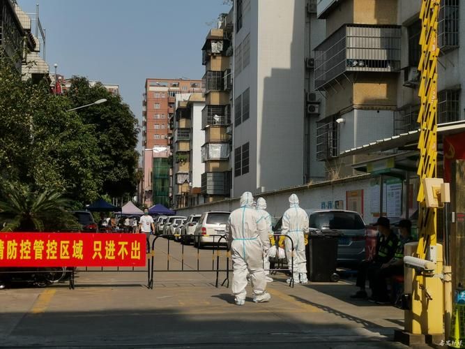 疫情视频最新封开县/疫情封控时的视频图片