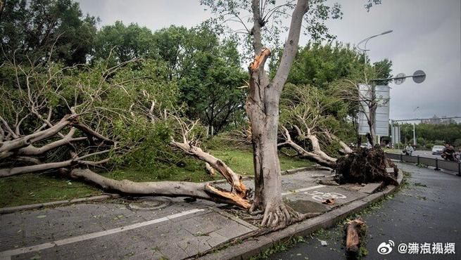 【江苏省苏州市虎丘区通报20例死亡病例详情,江苏省苏州市虎丘区工厂】