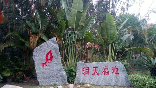 海南三亚崖州区新增30例重症,涉及路北区(海南三亚崖州区天气预报查询)