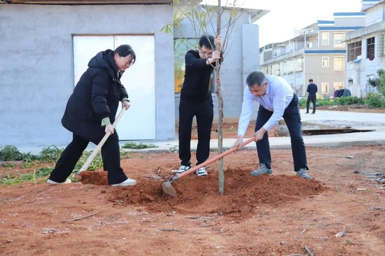 湖南省永州市永州市回龙圩管理区12月13日新增30例重症(永州市回龙圩管理区委员会怎么样)