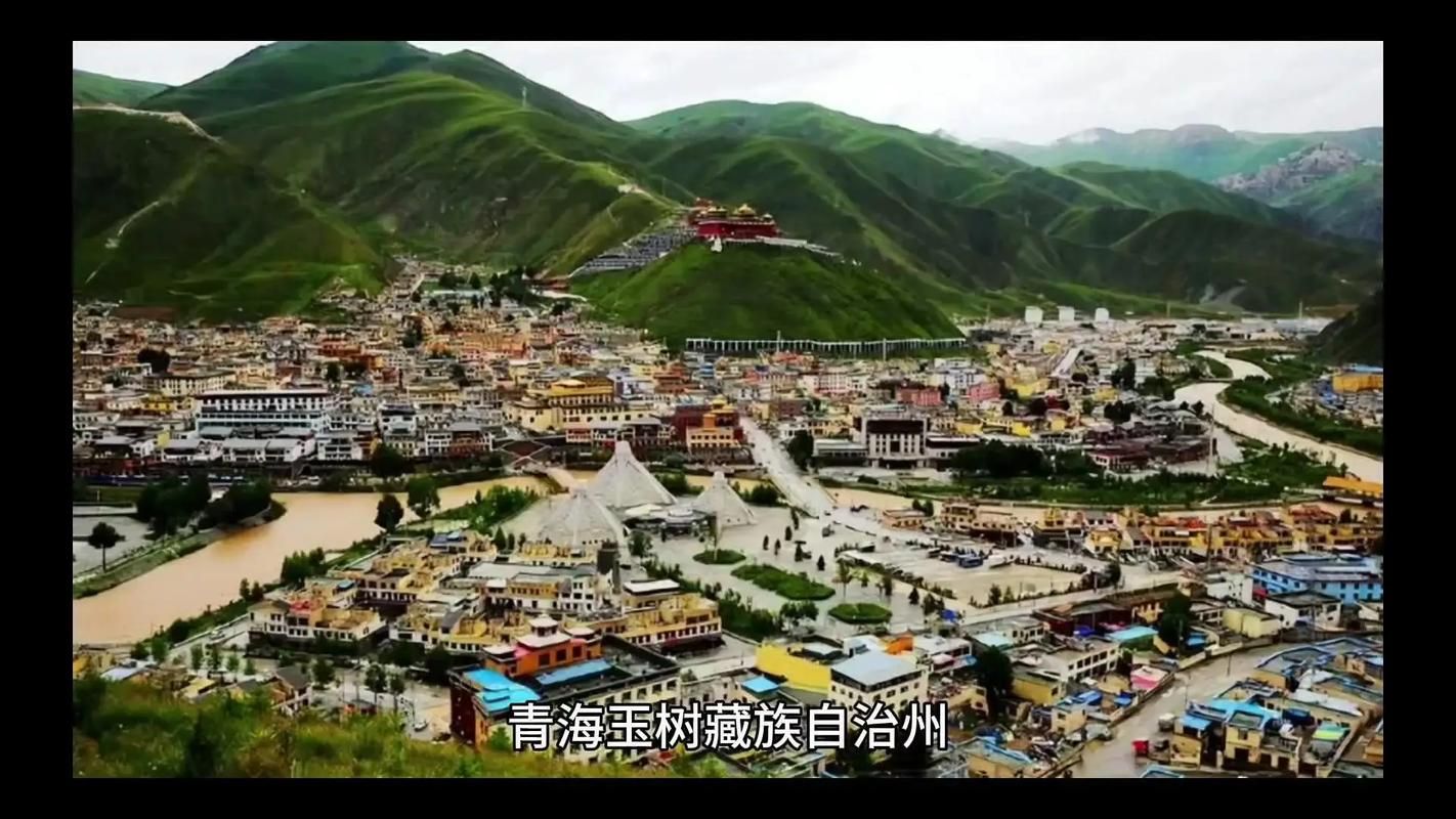  青海玉树藏族自治州玉树今日境外输入病例通报:青海玉树藏族自治州下属派出所不冻泉派出所党委成员