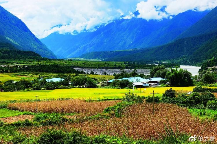 察隅县什么时候可以静默:察隅县有稻田吗
