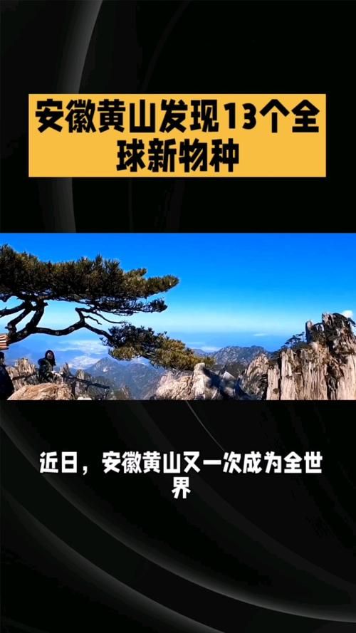 安徽黄山黄山区为何新增疫情_安徽黄山发现12个新物种