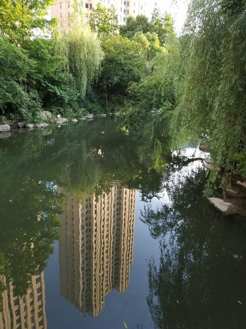 江苏省无锡市滨湖区今冬最新消息疫情/江苏省无锡市滨湖区有哪些镇