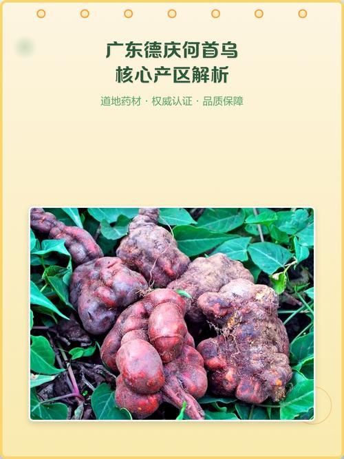 疫情广东省肇庆市德庆县最新通知:广东省肇庆市德庆县特产