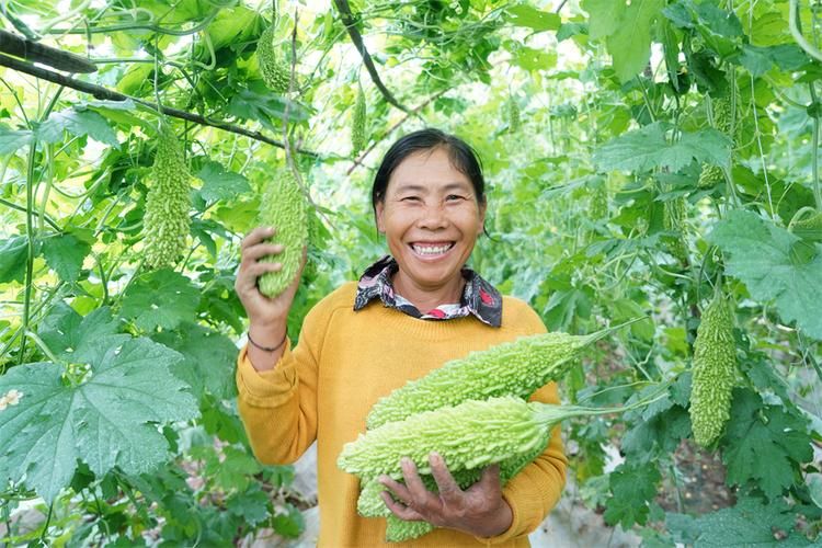 【昌宁县新增疫情关注_昌宁县新闻联播】
