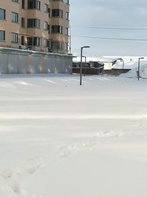 辽宁省铁岭市西丰县疫情最新消息_辽宁省铁岭市西丰县今天的天气预报