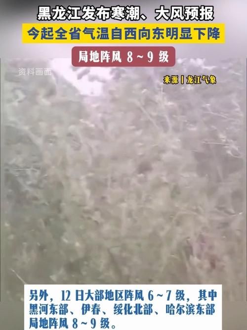 解读疫情最新消息黑龙江绥化兰西县(绥化地区兰西县今天的天气预报)