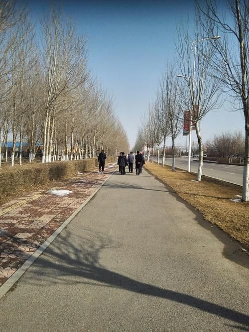 辽宁省沈阳市沈北新区静默标准最新公布_辽宁省沈阳市沈北新区代码