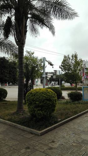 云南红河哈尼族彝族自治州石屏县为何新增疫情_红河哈尼族彝族自治州石屏县天气预报15天