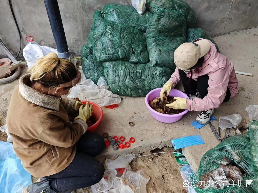  疫情公告新疆维吾尔自治区喀什地区泽普县最新:新疆喀什地区泽普县烤火费发放标准2026