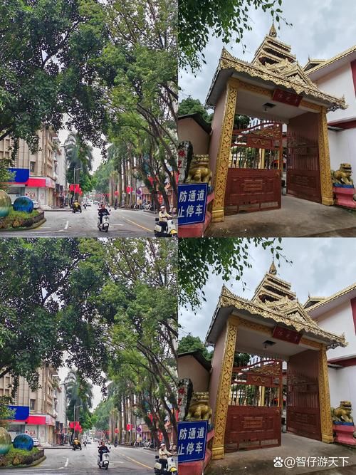  云南省德宏傣族景颇族自治州芒市最新疫情关注:云南省德宏傣族景颇族自治州芒市怎么样