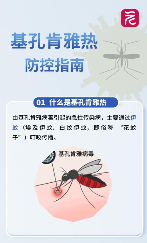 广东汕头南澳县疫情严重吗/汕头疫情蚊子严重吗