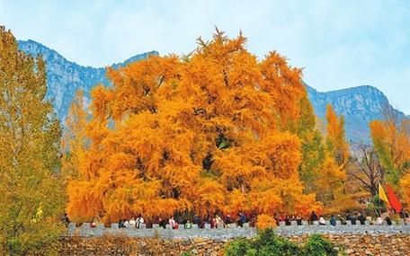 【专家:辉县市每年或现多个感染高峰,辉县市曝光违反中央八项规定】