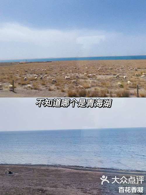 预计昨日青海海北藏族自治州海晏县二次疫情蔓延(青海省海北海晏县)