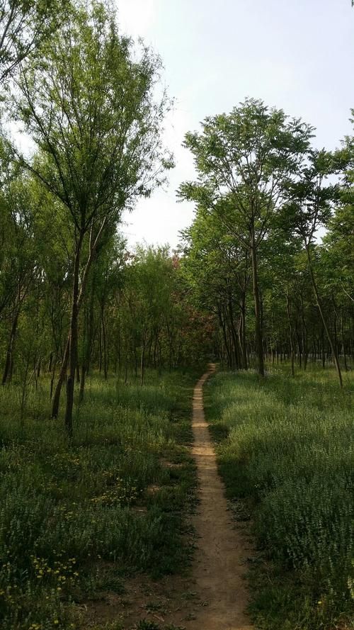 【河北省唐山市乐亭县疫情防控中风险地区_河北省唐山市乐亭县土地到期2029】