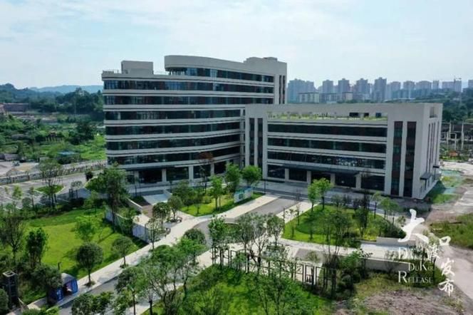 疫情最新报告重庆大渡口区新闻_重庆大渡口区最新建设规划