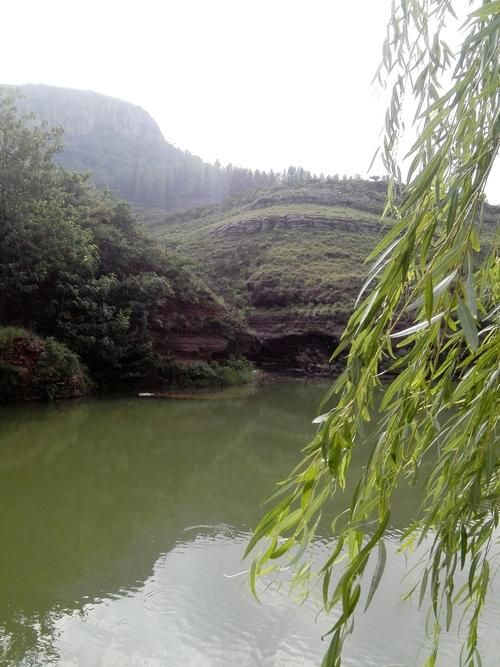 山东枣庄山亭区累计报告核酸阳性22例(山东枣庄山亭区凫城镇天气预报)