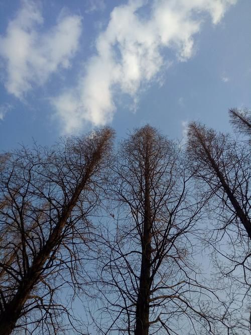山东省烟台市福山区近1天新增20例无症状感染者/山东省烟台市福山区天气预报今天
