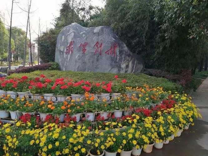 海棠区最新通告：所有人员封城(海棠区最新天气)