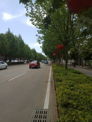 一张图看懂河南信阳平桥区近1天数据播报/信阳平桥区天气预报15天及降雨量
