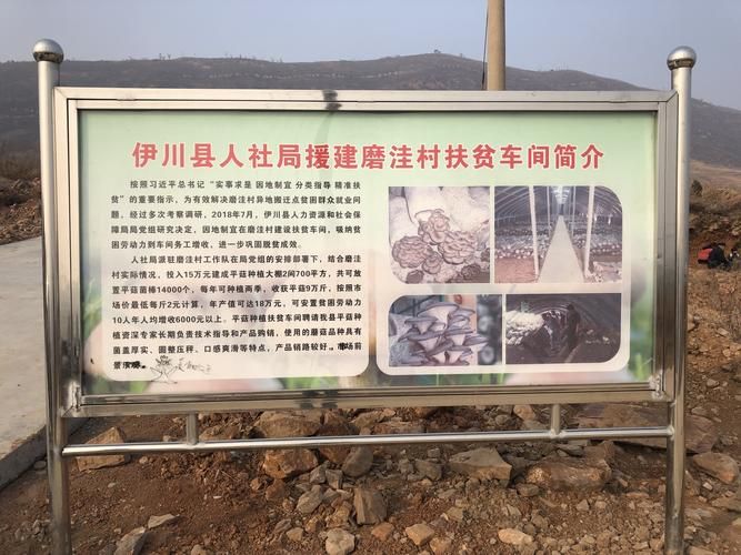 四川阿坝藏族羌族自治州若尔盖县新增重症23例,均在山东菏泽郓城县的简单介绍