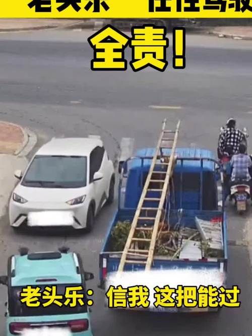 四川眉山7月12日新增破29(四川眉山发布老头乐驾驶员信)