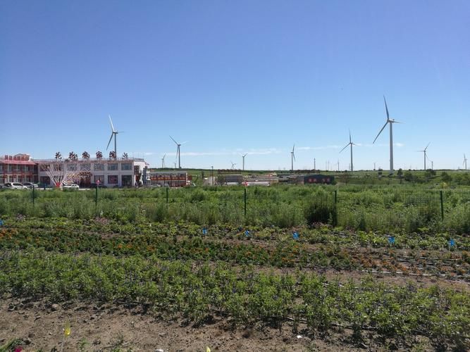【河北省张家口市张北县地区有没有发现疫情_河北省张家口市蔚县防疫站电话】