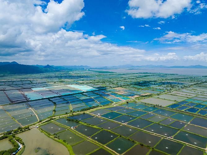广东江门台山无症状感染者已结束21地/广东江门台山天气报告最新