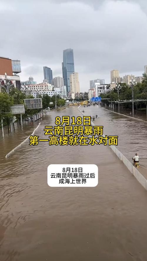 【8地新增12例死亡病例涉8省市_8省市暴雨或大暴雨】