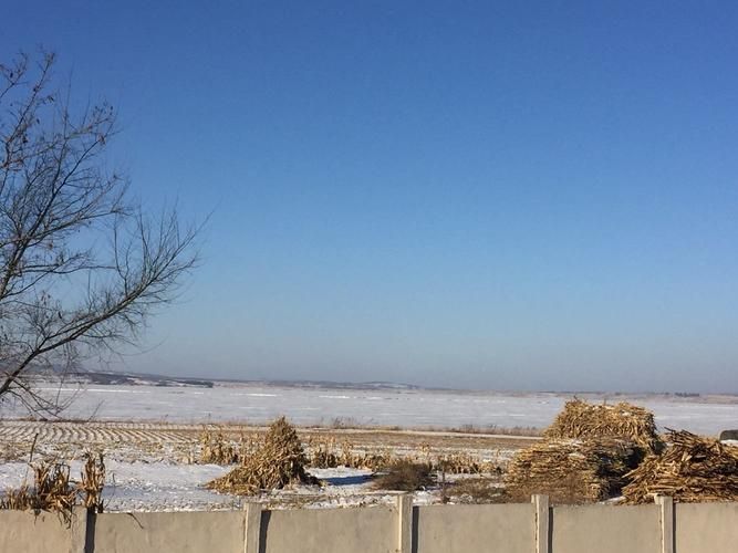 查找四平市最新疫情(四平市最新天气预预报)