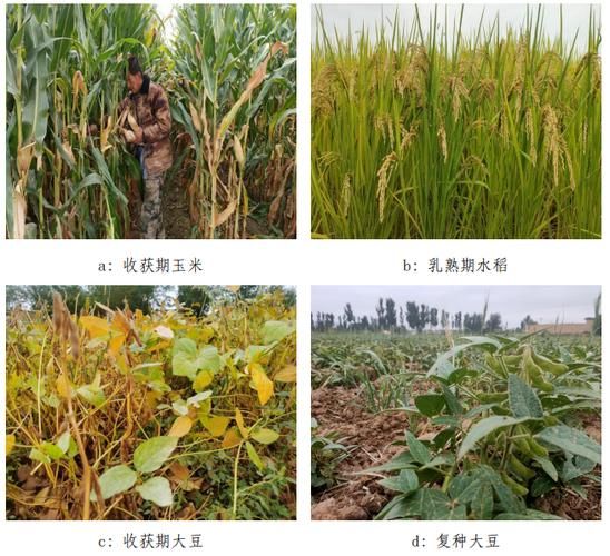 一张图看懂近期沙坡头区疫情_沙坡头区一周天气详情