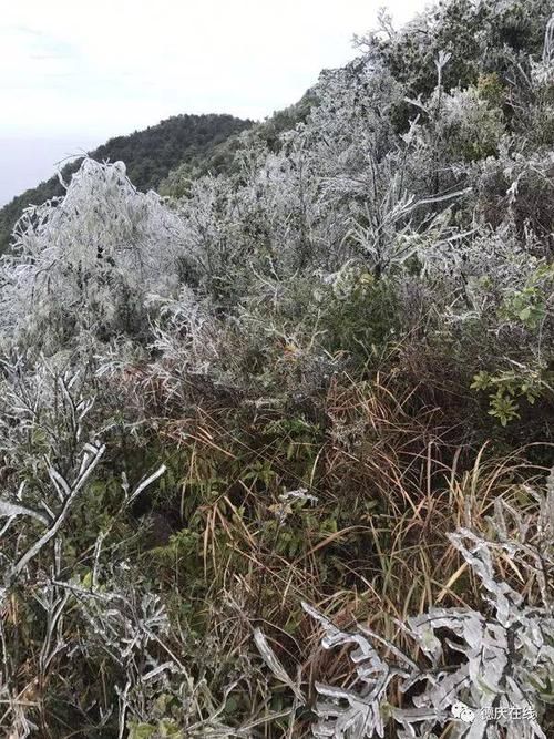  封开县疫情还在新增吗今天:封开县会有寒潮吗