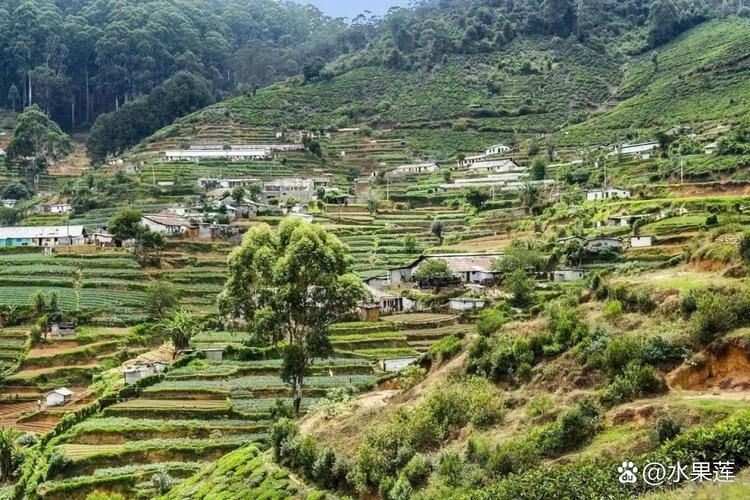 查找云南红河哈尼族彝族自治州金平苗族瑶族傣族自治县最新疫情的简单介绍