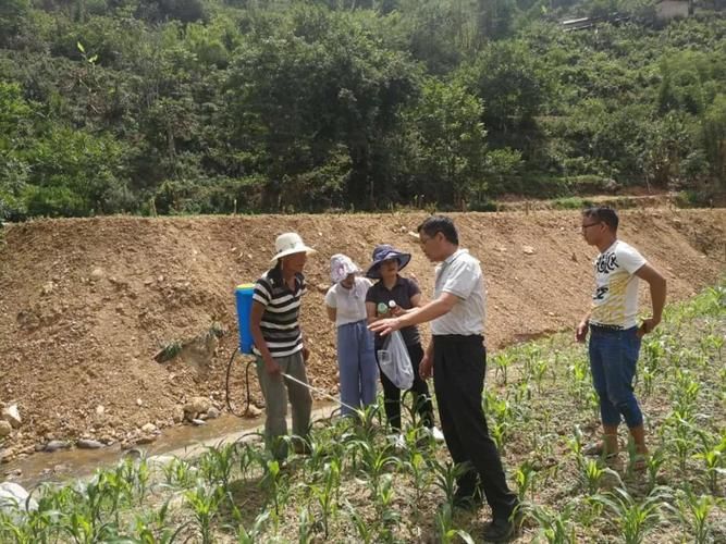  云南省临沧市凤庆县近6天新增感染趋势蔓延:云南省临沧市凤庆县人民法院公开庭