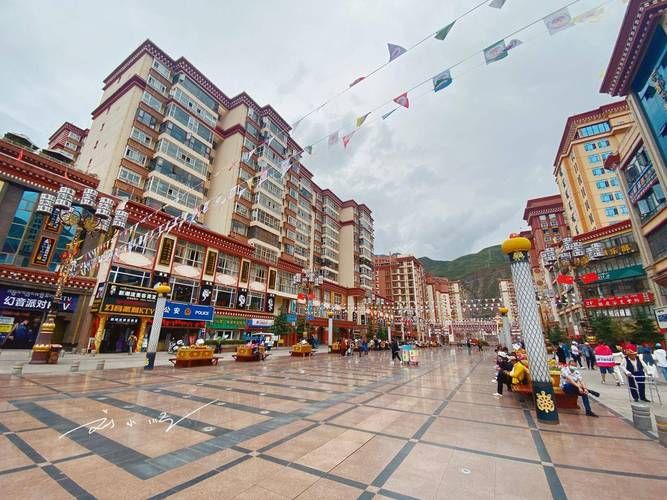 西藏自治区昌都新增重症16例，均在弋阳县(西藏自治区对昌都三个定位)