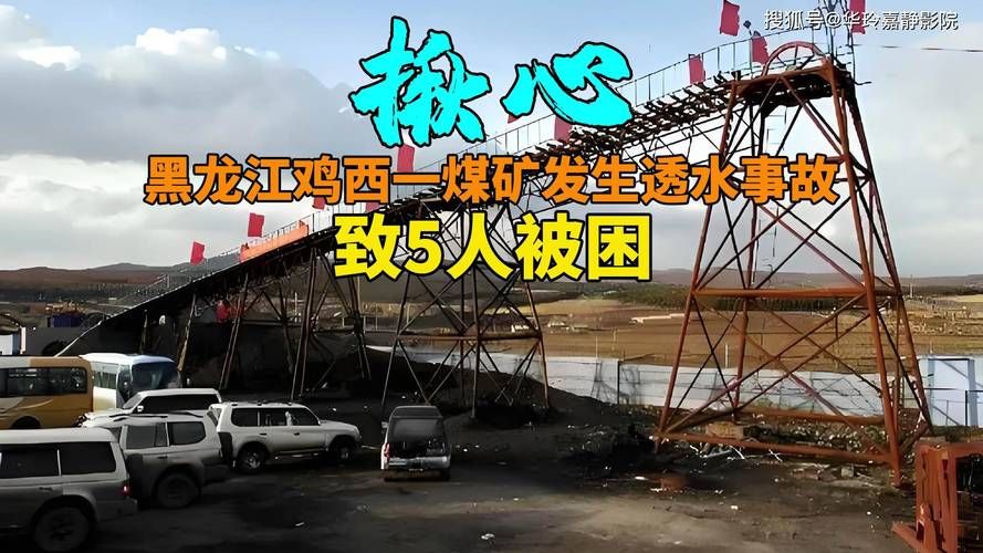  黑龙江鸡西鸡冠区新增重症8例，均在贵州铜仁沿河土家族自治县:黑龙江省鸡西市鸡冠区执法队