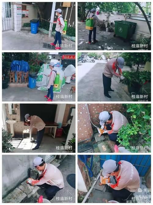 【南山区3月31日新增6例核酸阳性_南山区慢病院10月7日开诊】