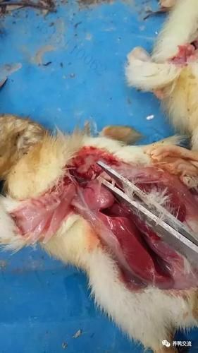 【专家:云南省大理白族自治州弥渡县每年或现多个感染高峰_大理白族自治州弥渡县天气预报15天】