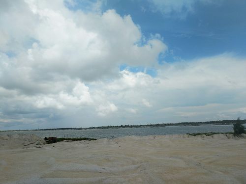 新增疫情关注广东湛江坡头区/湛江坡头区未来一周天气怎么样
